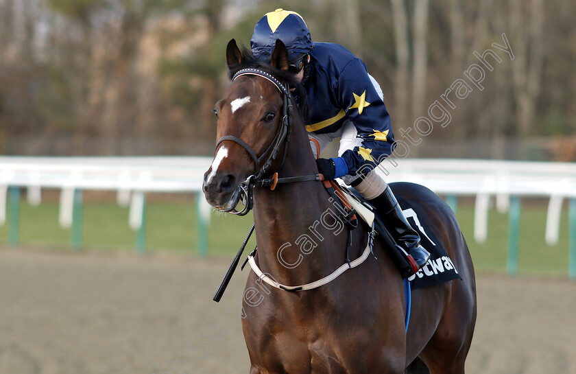 Sir-Thomas-Gresham-0001 
 SIR THOMAS GRESHAM (Martin Dwyer)
Lingfield 2 Feb 2019 - Pic Steven Cargill / Racingfotos.com