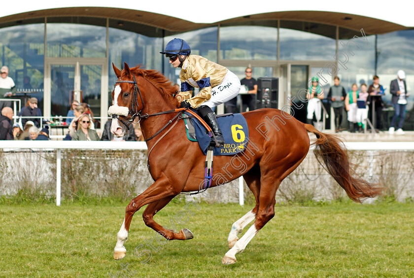 Manitou-0008 
 MANITOU (Hollie Doyle) winner of The Appel Au Maitre Svealandlopning
Bro Park, Sweden 18 Sep 2022 - Pic Steven Cargill / Racingfotos.com