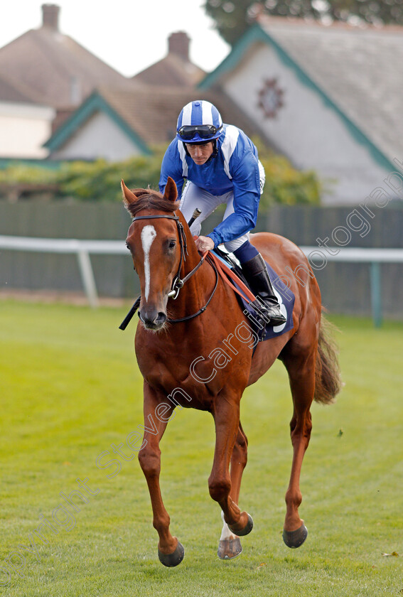 Gabr-0002 
 GABR (Jim Crowley) winner of The British Stallion Studs EBF Novice Stakes Yarmouth 20 Sep 2017 - Pic Steven Cargill / Racingfotos.com