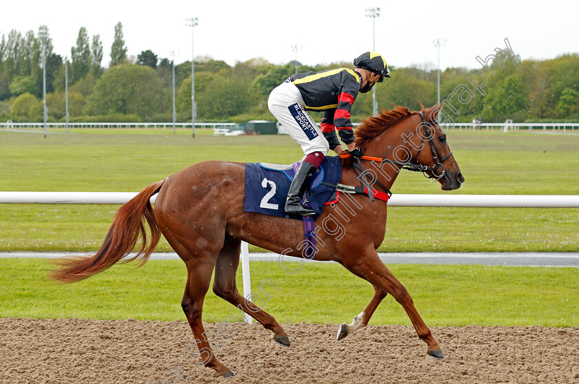 Global-Romance-0001 
 GLOBAL ROMANCE (Thore Hammer Hansen)
Wolverhampton 24 May 2021 - Pic Steven Cargill / Racingfotos.com