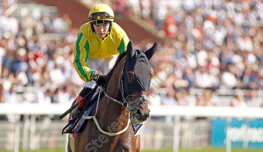 Mustajeer-0001 
 MUSTAJEER (Colin Keane) before The Sky Bet Ebor
York 24 Aug 2019 - Pic Steven Cargill / Racingfotos.com