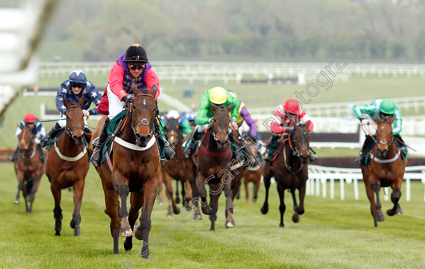 Sunshade-0001 
 SUNSHADE (Nico de Boinville) wins The Catesby Estates PLC Mares Handicap Hurdle
Cheltenham 18 Apr 2019 - Pic Steven Cargill / Racingfotos.com