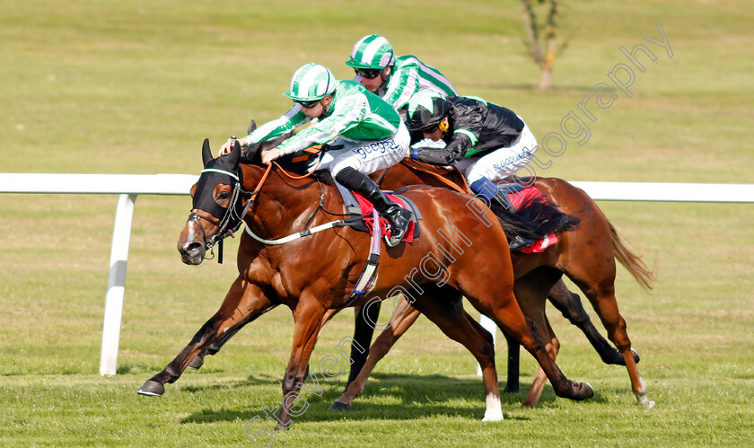 Port-Winston-0004 
 PORT WINSTON (David Probert) wins The Betway Nursery
Sandown 30 Aug 2019 - Pic Steven Cargill / Racingfotos.com