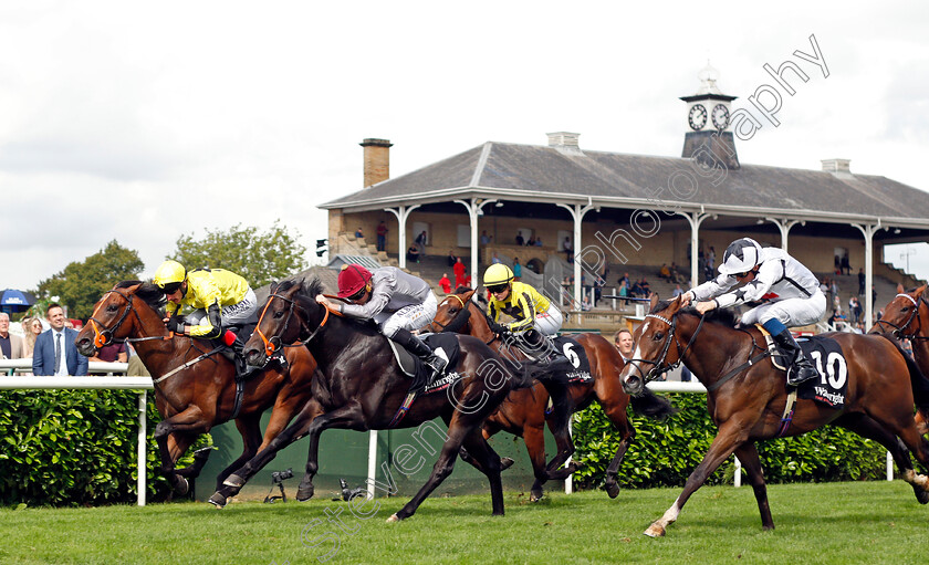 Caturra-0002 
 CATURRA (left, Adam Kirby) beats ARMOR (centre) and CORAZON (right) in The Wainwright Flying Childers Stakes
Doncaster 10 Sep 2021 - Pic Steven Cargill / Racingfotos.com