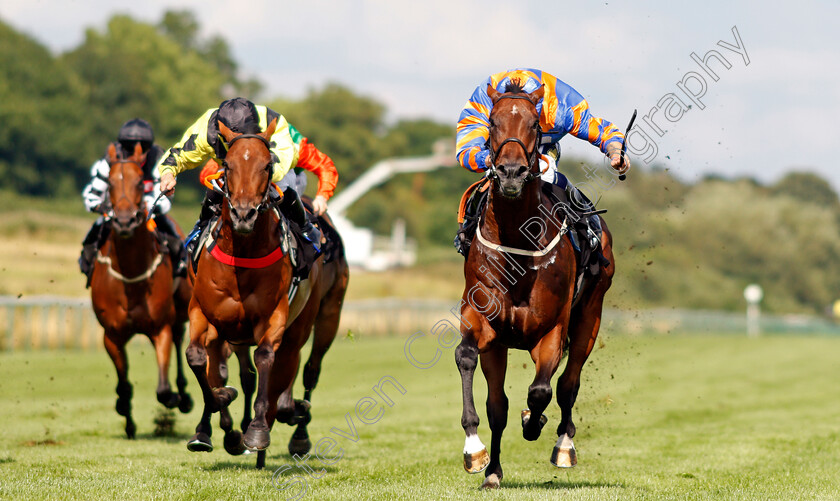 Latin-Five-0001 
 LATIN FIVE (right, Kevin Stott) beats BELLEVARDE (left) in The Moorgate Drink Drive RS Handicap
Nottingham 10 Aug 2021 - Pic Steven Cargill / Racingfotos.com