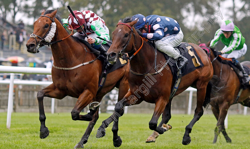 Mary-Of-Modena-0001 
 MARY OF MODENA (right, Ray Dawson) beats SOUL SEEKER (left) in The Turners Of Soham Handicap
Newmarket 5 Aug 2023 - Pic Steven Cargill / Racingfotos.com