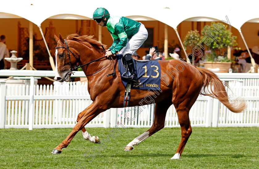 Gallantly-0001 
 GALLANTLY (Wayne Lordan)
Royal Ascot 20 Jun 2024 - Pic Steven Cargill / Racingfotos.com