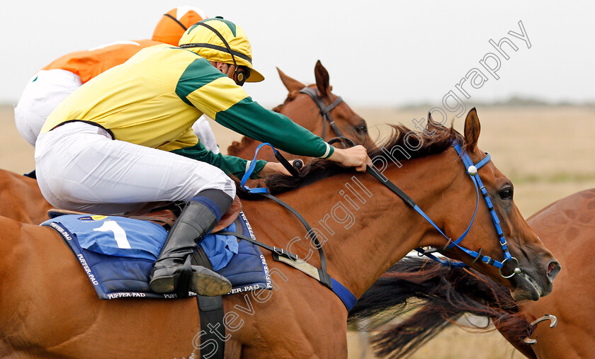 Ice-Royal-0002 
 ICE ROYAL (Freddy Tett)
Les Landes Jersey 26 Aug 2019 - Pic Steven Cargill / Racingfotos.com