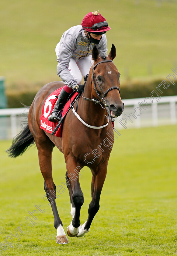 Toro-Strike-0002 
 TORO STRIKE (Oisin Murphy)
Goodwood 30 Aug 2020 - Pic Steven Cargill / Racingfotos.com