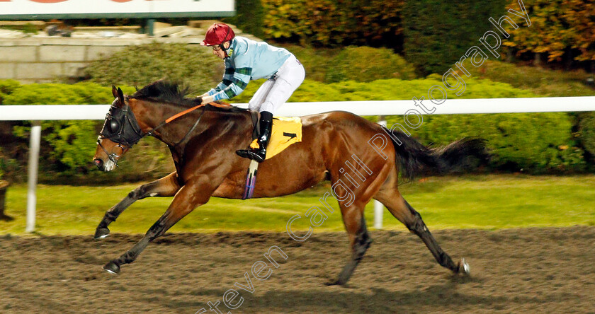 Volturnus-0005 
 VOLTURNUS (Nicky Mackay) wins The 32Red On The App Store Handicap Kempton 8 Nov 2017 - Pic Steven Cargill / Racingfotos.com