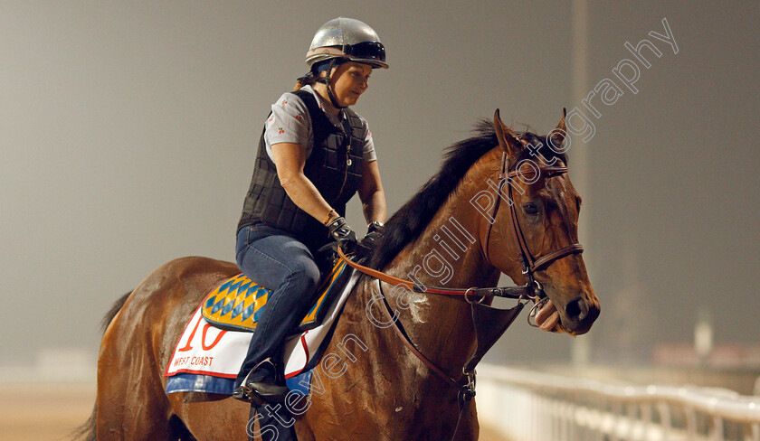 West-Coast-0002 
 WEST COAST exercising in preparation for the Dubai World Cup Meydan 29 Mar 2018 - Pic Steven Cargill / Racingfotos.com