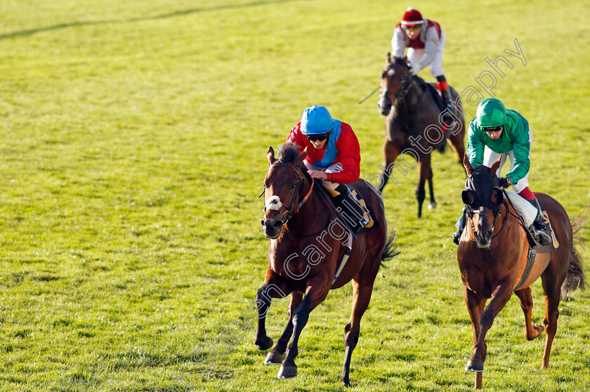 Bay-Bridge-0007 
 BAY BRIDGE (left, Ryan Moore) beats MAJESTIC DAWN (right) in The 888sport James Seymour Stakes
Newmarket 30 Oct 2021 - Pic Steven Cargill / Racingfotos.com