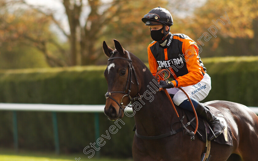 Warrior-Brave-0001 
 WARRIOR BRAVE (Alistair Rawlinson)
Nottingham 7 Apr 2021 - Pic Steven Cargill / Racingfotos.com