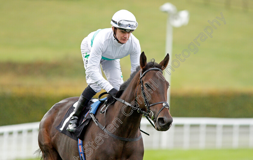 Illumined-0001 
 ILLUMINED (Kieran O'Neill)
Goodwood 25 Sep 2019 - Pic Steven Cargill / Racingfotos.com