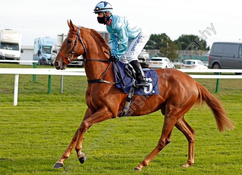 Wolflet-0002 
 WOLFLET (Marco Ghiani)
Yarmouth 20 Oct 2020 - Pic Steven Cargill / Racingfotos.com