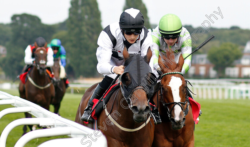 Victory-Chime-0004 
 VICTORY CHIME (Harry Bentley) wins The Hampton Court Handicap
Sandown 25 Jul 2019 - Pic Steven Cargill / Racingfotos.com