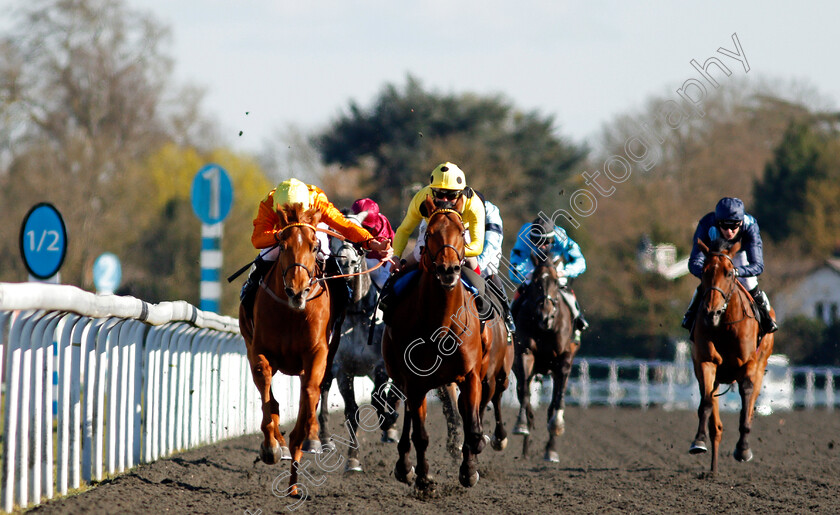 Sleeping-Lion-0004 
 SLEEPING LION (left, Kieran Shoemark) beats POSTILEO (right) in The Unibet 15 To Go Queen's Prize Handicap
Kempton 5 Apr 2021 - Pic Steven Cargill / Racingfotos.com