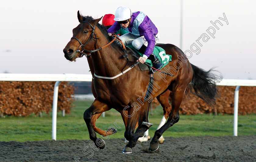 No-Nonsense-0004 
 NO NONSENSE (David Probert) wins The Talksport Novice Stakes
Kempton 12 Dec 2018 - Pic Steven Cargill / Racingfotos.com