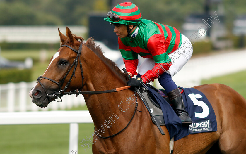 Assail-0005 
 ASSAIL (Silvestre De Sousa) winner of The Slingsby Gin Handicap
Ascot 26 Jul 2024 - Pic Steven Cargill / Racingfotos.com