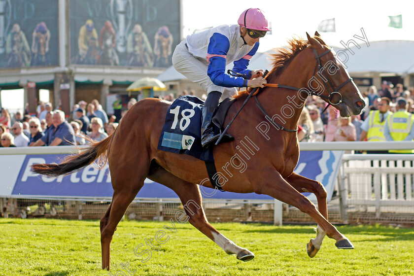 Nigiri-0004 
 NIGIRI (Hector Crouch) wins The British EBF 40th Anniversary Fillies Handicap
York 24 Aug 2023 - Pic Steven Cargill / Racingfotos.com