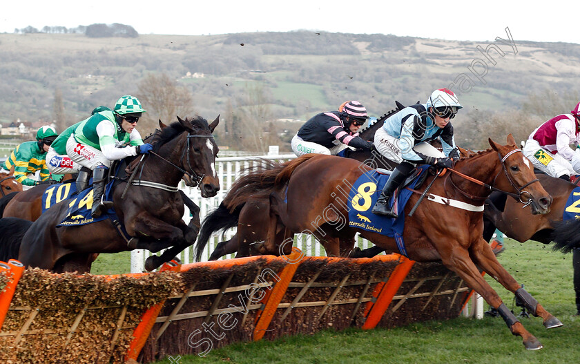 Presidente-Line-0001 
 PRESIDENTE LINE (right, Alexis Poirer) with DAME DU SOIR (left)
Cheltenham 14 Mar 2019 - Pic Steven Cargill / Racingfotos.com