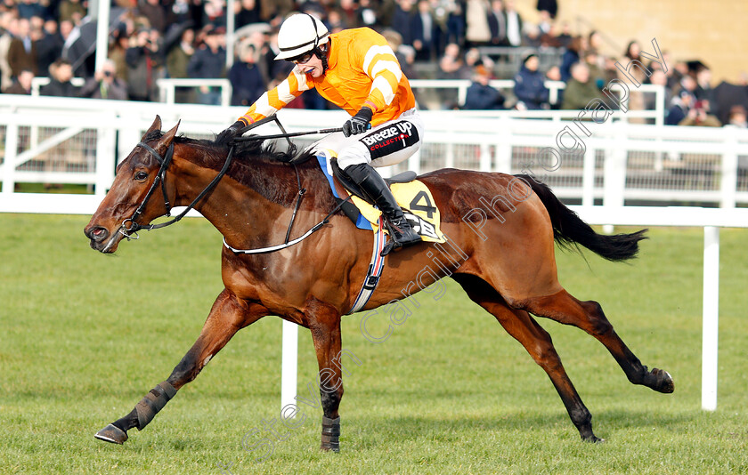 Fakir-D Oudairies-0007 
 FAKIR D'OUDAIRIES (J J Slevin) wins The JCB Triumph Trial Juvenile Hurdle
Cheltenham 26 Jan 2019 - Pic Steven Cargill / Racingfotos.com