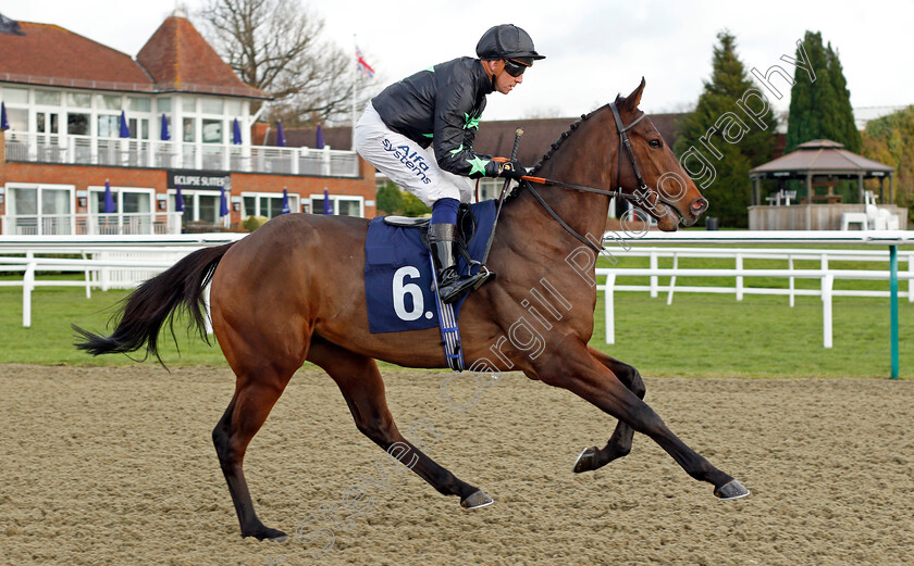 Gidwa 
 GIDWA (Jim Crowley)
Lingfield 1 Dec 2021 - Pic Steven Cargill / Racingfotos.com