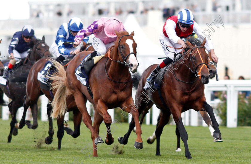 Cloak-And-Dagger-0002 
 CLOAK AND DAGGER (right, Adam Kirby) beats KAMIKAZE LORD (left) in The Italian Tourist Board British EBF Novice Auction Stakes
Ascot 7 Sep 2018 - Pic Steven Cargill / Racingfotos.com