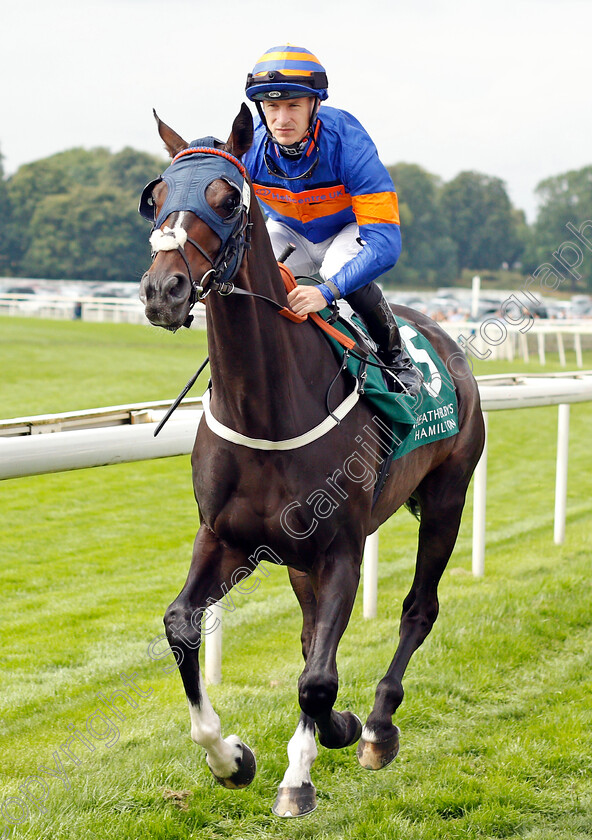 The-Grand-Visir-0001 
 THE GRAND VISIR (Richard Kingscote)
York 20 Aug 2021 - Pic Steven Cargill / Racingfotos.com