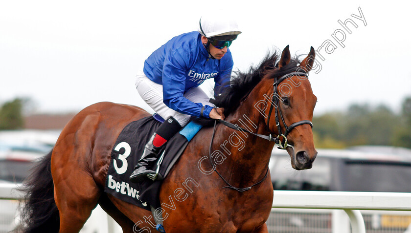 Full-Verse-0001 
 FULL VERSE (Brett Doyle)
Sandown 31 Aug 2019 - Pic Steven Cargill / Racingfotos.com