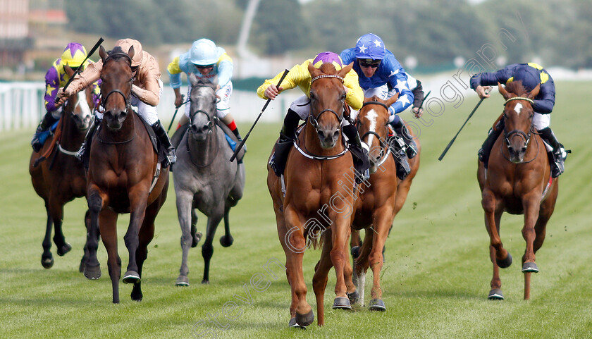 Sea-Of-Class-0001 
 SEA OF CLASS (James Doyle) beats MRS SIPPY (left) in The Johnnie Lewis Memorial British EBF Stakes 
Newbury 14 Jun 2018 - Pic Steven Cargill / Racingfotos.com