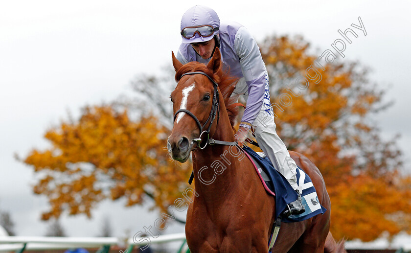 Oman-0001 
 OMAN (Adam Kirby)
Newmarket 21 Oct 2020 - Pic Steven Cargill / Racingfotos.com