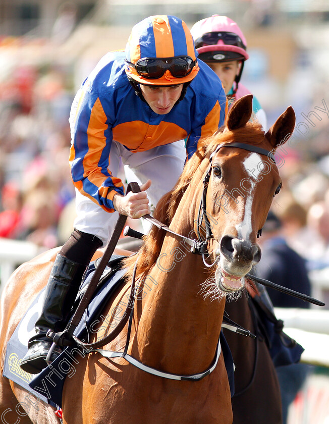 Peach-Tree-0001 
 PEACH TREE (Ryan Moore)
Doncaster 13 Sep 2018 - Pic Steven Cargill / Racingfotos.com