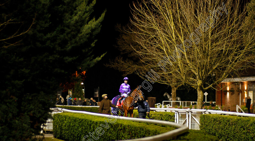 Godhead-0001 
 GODHEAD (Oisin Murphy) before The 32Red Casino Novice Stakes
Kempton 17 Feb 2020 - Pic Steven Cargill / Racingfotos.com