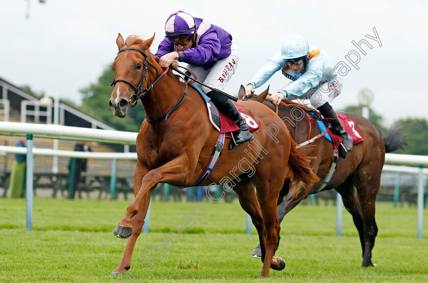 Stage-Effect-0002 
 STAGE EFFECT (Tom Marquand) wins The A&B Engineering Mechanical and Electrical Services EBF Maiden Fillies Stakes
Haydock 24 May 2024 - Pic Steven Cargill / Racingfotos.com