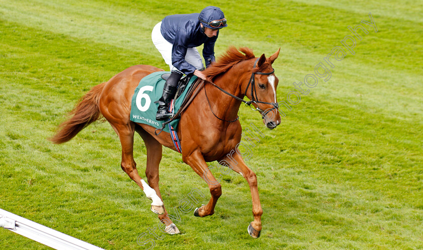 Savethelastdance-0009 
 SAVETHELASTDANCE (Ryan Moore) winner of The Weatherbys Digital Solutions Cheshire Oaks
Chester 10 May 2023 - Pic Steven Cargill / Racingfotos.com