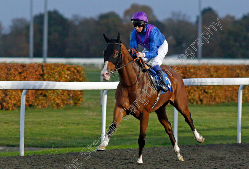 Palavecino-0001 
 PALAVECINO (Martin Dwyer)
Kempton 2 Nov 2020 - Pic Steven Cargill / Racingfotos.com