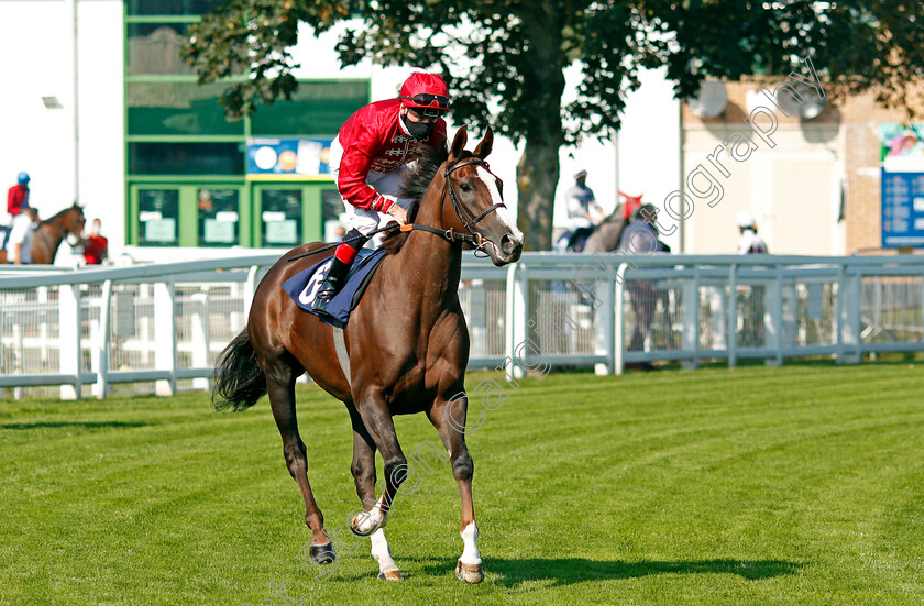 Punting-0001 
 PUNTING (Shane Kelly)
Yarmouth 15 Sep 2020 - Pic Steven Cargill / Racingfotos.com