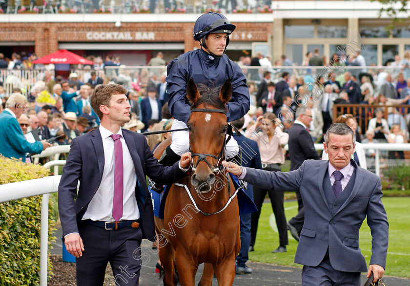 Divinely-0001 
 DIVINELY (Wayne Lordan)
York 19 Aug 2021 - Pic Steven Cargill / Racingfotos.com