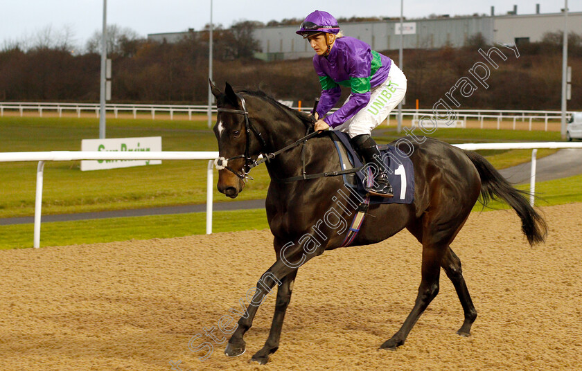 Heavenly-Holly-0001 
 HEAVENLY HOLLY (Josephine Gordon) winner of The sunracing.co.uk Novice Stakes
Wolverhampton 28 Nov 2018 - Pic Steven Cargill / Racingfotos.com