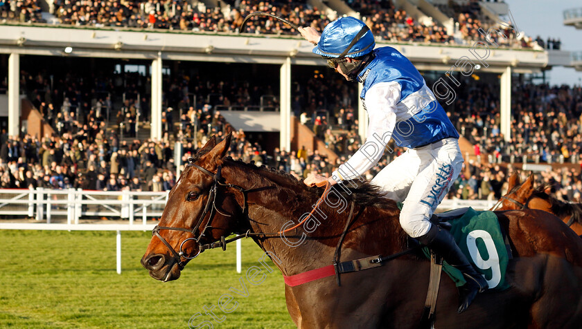 Gemirande-0005 
 GEMIRANDE (Charlie Deutsch) wins The Nyetimber December Gold Cup
Cheltenham 14 Dec 2024 - Pic Steven Cargill / Racingfotos.com