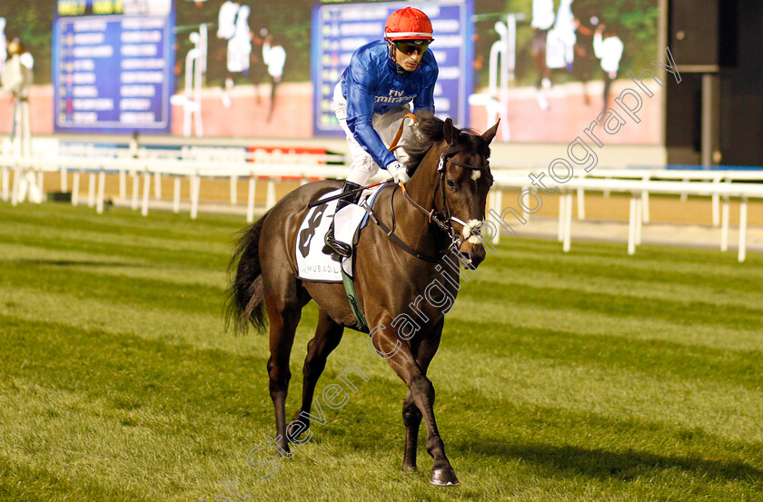 Top-Score-0001 
 TOP SCORE (Gerald Mosse) Meydan 18 Jan 2018 - Pic Steven Cargill / Racingfotos.com