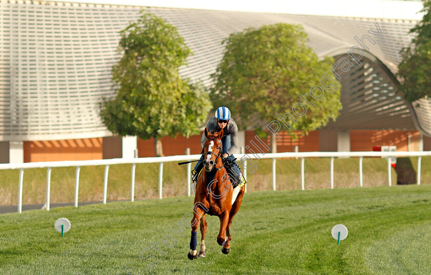 Mohaafeth-0002 
 MOHAAFETH (Jim Crowley) training for The Dubai Turf
Meydan, Dubai, 24 Mar 2022 - Pic Steven Cargill / Racingfotos.com