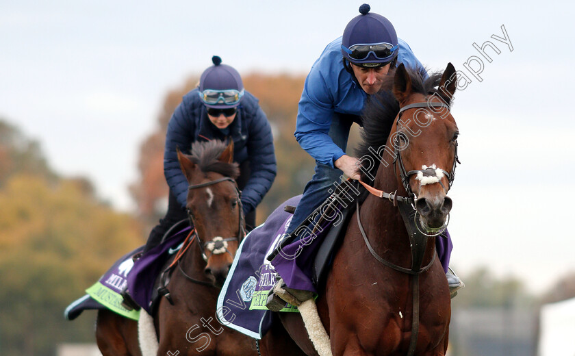 Expert-Eye-0002 
 EXPERT EYE exercising ahead of The Breeders' Cup Mile
Churchill Downs USA 30 Oct 2018 - Pic Steven Cargill / Racingfotos.com