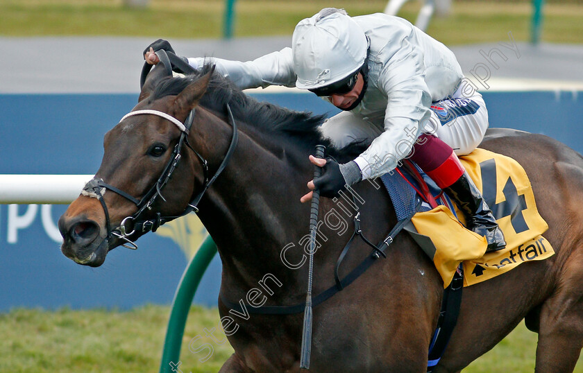 Grand-Bazaar-0003 
 GRAND BAZAAR (Frankie Dettori)
Newmarket 2 May 2021 - Pic Steven Cargill / Racingfotos.com