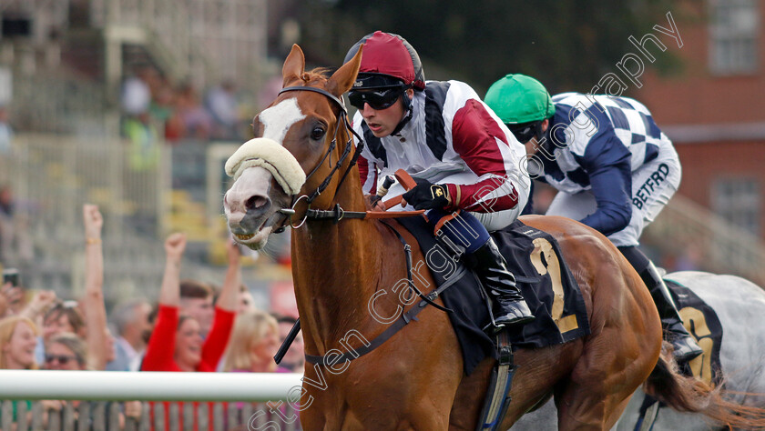 Squeezebox-0001 
 SQUEEZEBOX (Frederick Larson) wins The Join Racing TV Now Handicap
Newmarket 28 Jul 2023 - Pic Steven Cargill / Racingfotos.com