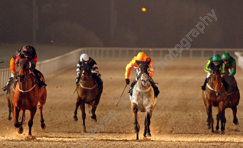 Owhatanight-0003 
 OWHATANIGHT (grey, Daniel Muscutt) wins The Bombardier Selling Handicap
Wolverhampton 7 Jan 2021 - Pic Steven Cargill / Racingfotos.com