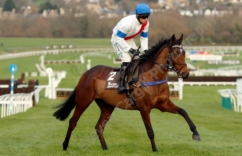 Skyjack-Hijack-0001 
 SKYJACK HIJACK (Sean Quinlan)
Cheltenham 14 Dec 2024 - Pic Steven Cargill / Racingfotos.com