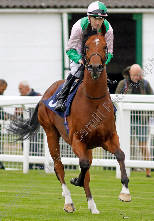 Cloud-King-0001 
 CLOUD KING (Jamie Spencer)
Yarmouth 19 Sep 2023 - Pic Steven Cargill / Racingfotos.com