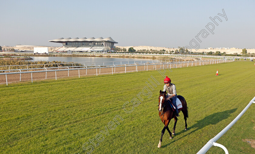 Cadillac-0001 
 CADILLAC (Shane Foley) exercising in preparation for Friday's Bahrain International Trophy
Sakhir Racecourse, Bahrain 18 Nov 2021 - Pic Steven Cargill / Racingfotos.com